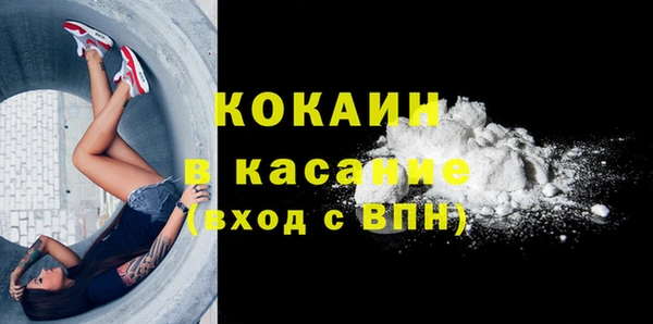 твердый Алзамай
