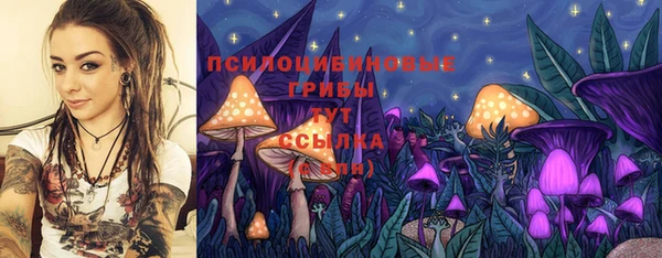 СК Алексеевка
