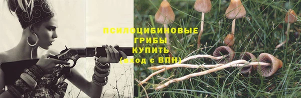 твердый Алзамай