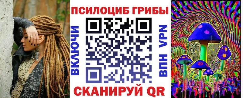 купить закладку  Гаджиево  мега ONION  Псилоцибиновые грибы мицелий 